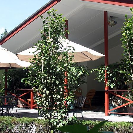 Cielito Sur Bed&Breakfast Inn Cerro Punta Exterior foto