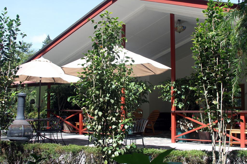 Cielito Sur Bed&Breakfast Inn Cerro Punta Exterior foto