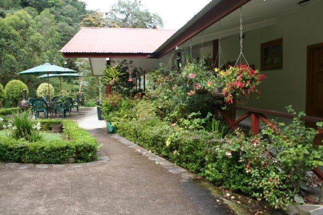 Cielito Sur Bed&Breakfast Inn Cerro Punta Exterior foto